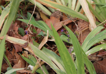 �β����ͼƬ ��ͬ��ɫ�����Ų�ͬ��Ԣ��