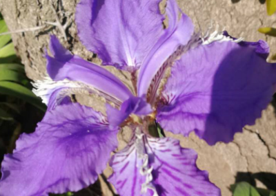 �β����ͼƬ ��ͬ��ɫ�����Ų�ͬ��Ԣ��