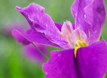 �β����ͼƬ ��ͬ��ɫ�����Ų�ͬ��Ԣ��