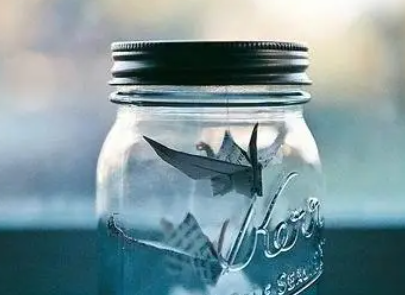 Ů��΢���������Ŵ������