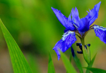 �β����ͼƬ ��ͬ��ɫ�����Ų�ͬ��Ԣ��