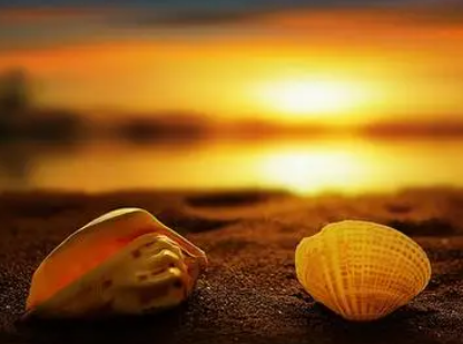 Ů��΢���������Ŵ������