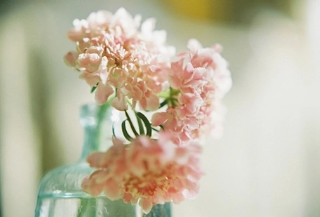 ף�����Ψ�����Ӵ�ȫ