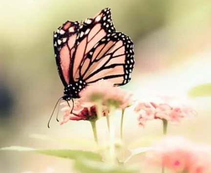 ��������50��ʫ��