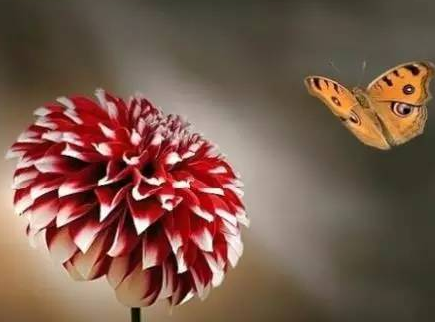 ��������50��ʫ��