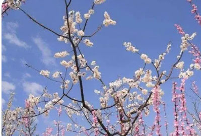 ��������50��ʫ��