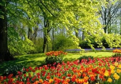 ��������50��ʫ��