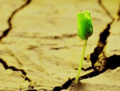 ������ʲô��˼ ��һ���˵ľ������