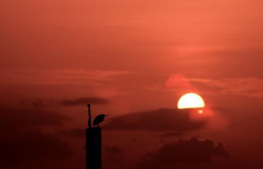 ��Ƨ�����Ը��ص� ָ�������˱���������ϵ