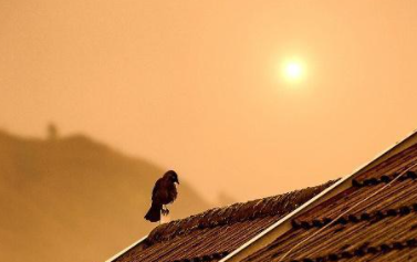 ��Ƨ�����Ը��ص� ָ�������˱���������ϵ