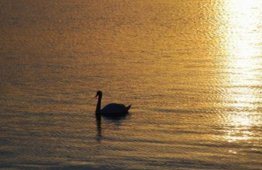 ��Ƨ�����Ը��ص� ָ�������˱���������ϵ