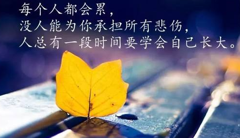 ѹ�ֱ���������˵˵������Ȧ