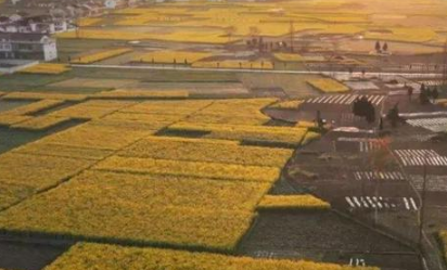 ���д������ʲô