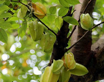 �������ķ�ˮ֪ʶ �������ּ���ò���