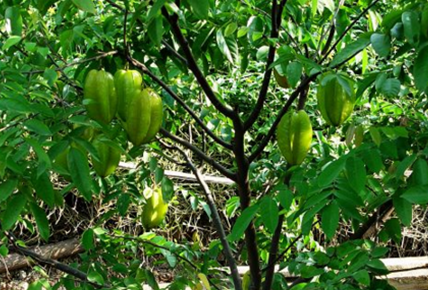 �������ķ�ˮ֪ʶ �������ּ���ò���