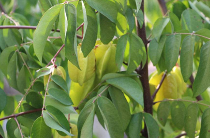 �������ķ�ˮ֪ʶ �������ּ���ò���