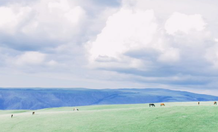 �ǳƼ�̺���