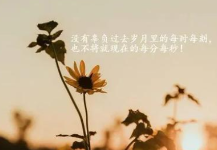 ��������ľ������ ������ж�¼�ǿ������