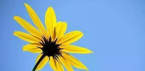 �ǳƼ�̺���