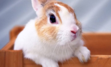 ���õĺ�ʲô�������䡢��� ���������������������������