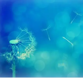 ��������ףԸ�ļ�̾��� �������ϵ�ף����