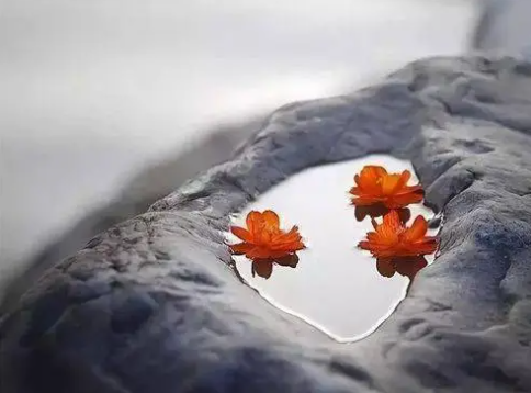 �й��Ŀ������ľ��� ��̬�ı����˵ĸ���