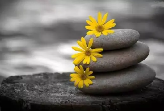 �й��Ŀ������ľ��� ��̬�ı����˵ĸ���