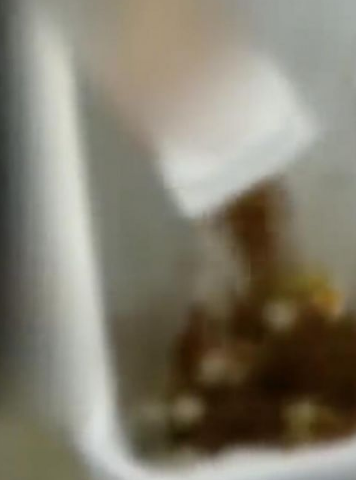 ���������ڼ䶪������13���ʳ��