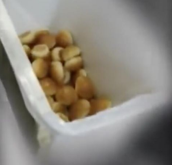 ���������ڼ䶪������13���ʳ��