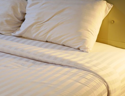 �����ϵ�������ȱ��