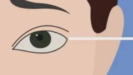 ��������ʲô��˼�Ǽ����� ���������Ǿ���һ�������