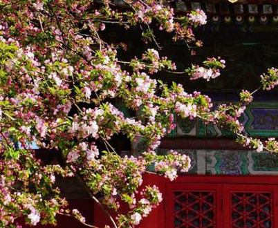 �Ķ����������ĺô�