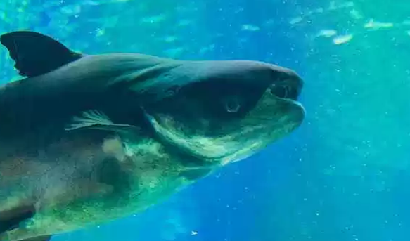 ��������ʮ�ֵ�ˮ������ ��С���������˸�����