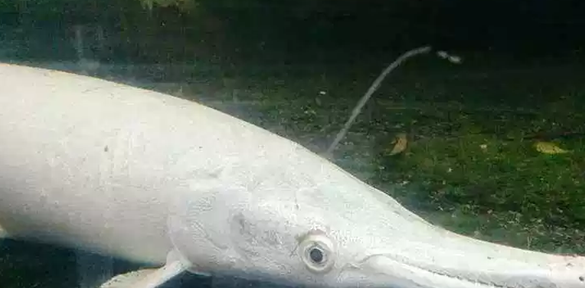 ��������ʮ�ֵ�ˮ������ ��С���������˸�����