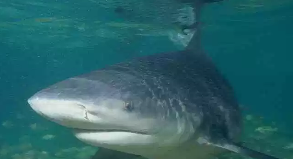 ��������ʮ�ֵ�ˮ������ ��С���������˸�����