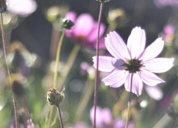 �ľ�ȫ�������߱鼰������