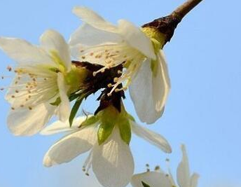 �ľ�ȫ�������߱鼰������