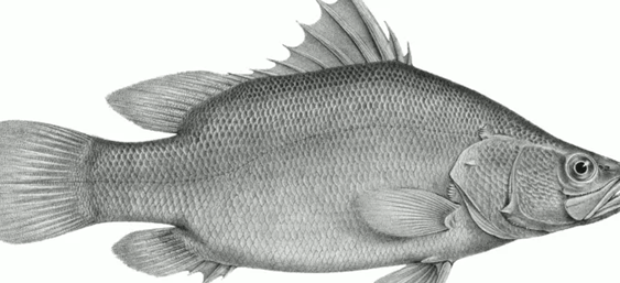 ��������ʮ�ֵ�ˮ������ ��С���������˸�����