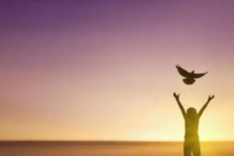 ���������ȫ ��һֱ����������ǰ��