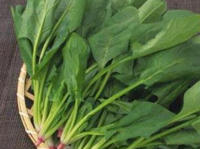 ���˵�Ӫ����ֵ�͹�Ч �Բ�������Щ�ô�