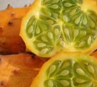 ��ι��Ĺ�Ч��������Щ ��ι�ʲôʱ���