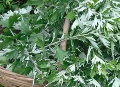 ���ݵĹ�Ч��������ʲô