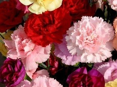�ʻ����ʵķ�������Щ��