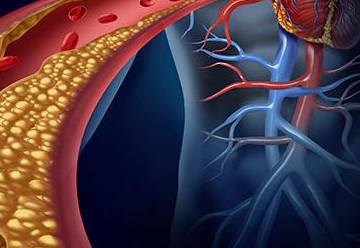 ���Ƶ�Σ�� Ϊ������һ����һ��֤���Լ�����