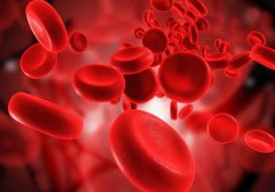 ���Ƶ�Σ�� Ϊ������һ����һ��֤���Լ�����