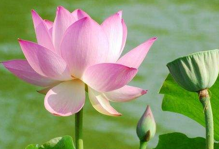 ���쿪�Ļ���ȫ