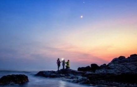 ������ָ��������