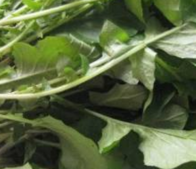 ������ʲô����ʳ�� ���һЩ����ʱ���߲�