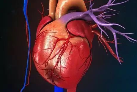 ���಻������10������ ��������ɲ������