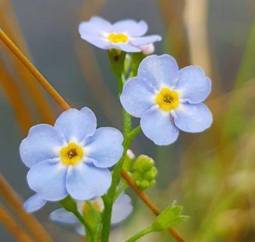 �簲ů�Ļ��̾������� ���Լ��ܹ�Ԫ������